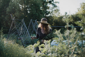 What Makes Small Batch, Fresh Plant Herbal Medicine Different?