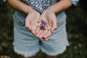 Sustainability + Bioregional Herbalism